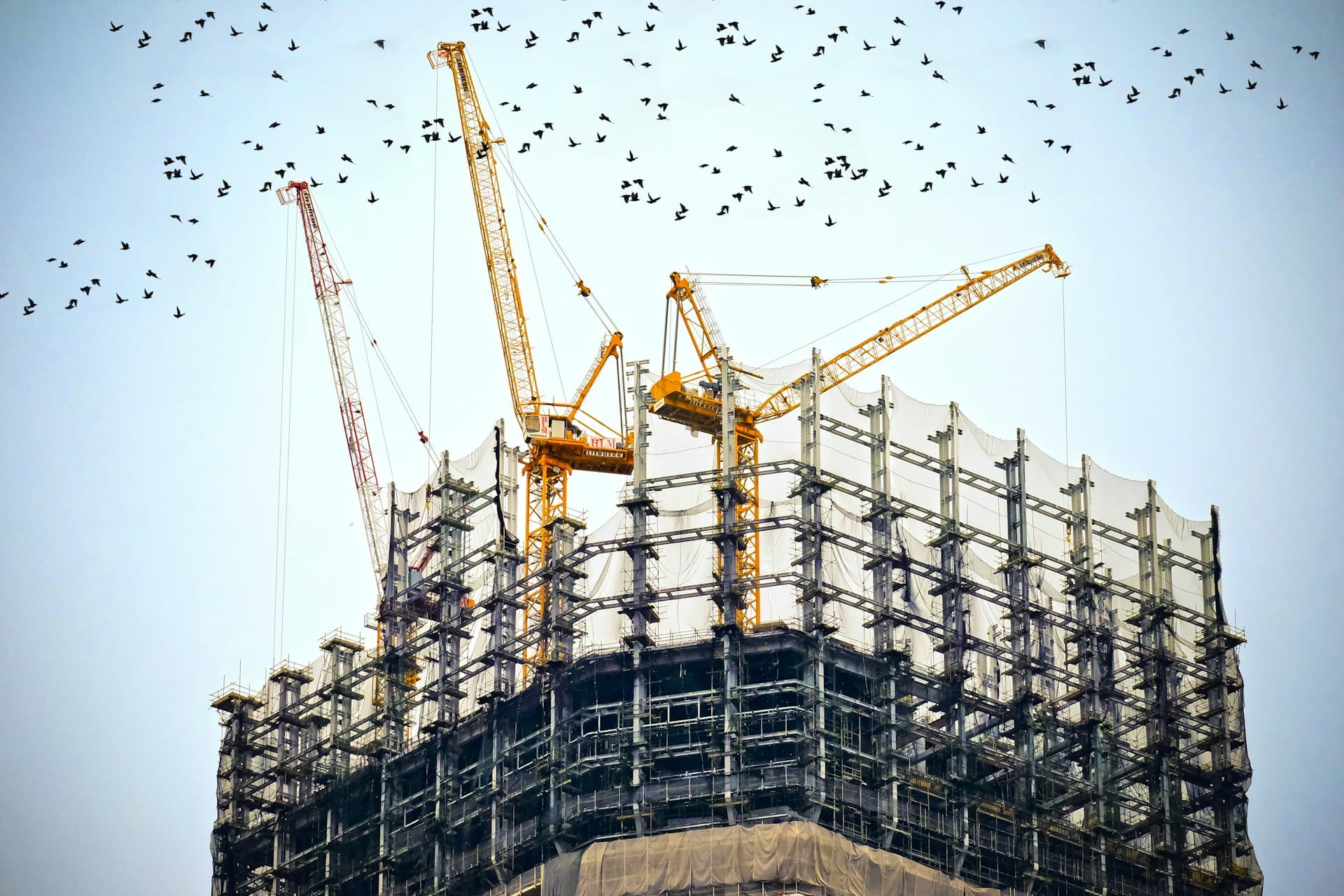 Construction and real estate project site managed on Rebota